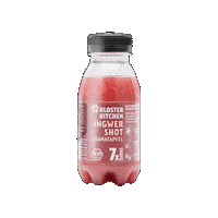 Ginger Sticker by klosterkitchen