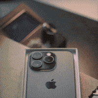 Work Phone GIF by RedPocket
