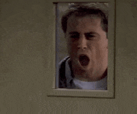 Season 3 Omg GIF by Friends