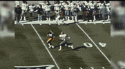 Pittsburgh Steelers GIF by NFL