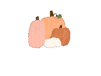 madisonhebner fall autumn girly psl Sticker