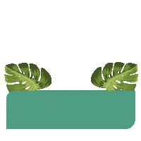 Travel Colombia Sticker by Decameron Hotels