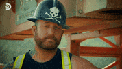 GIF by Discovery Europe
