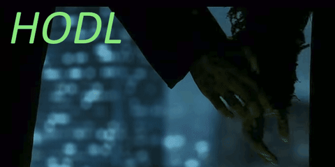 hodl paccoin4prez paccoin pac pac2.0 GIF