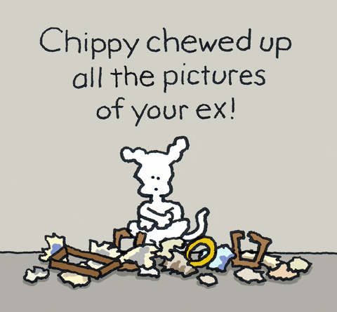 ex girlfriend love GIF by Chippy the dog