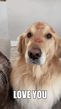 Love You Kiss GIF by Finley