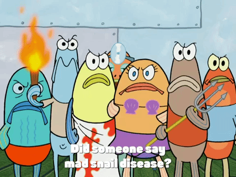 season 4 episode 13 GIF by SpongeBob SquarePants