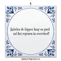 Nl Wijsheid Sticker by Tegelspreuken.nl