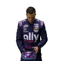 Alex Bowman Nascar Sticker by AllyRacing