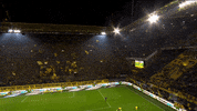 GIF by FOX Sports