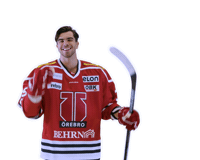 The Train Goal Sticker by Örebro Hockey
