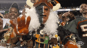 accsports accfootball miamifootball GIF