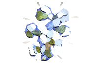 Kokuyo Sticker by GRASP MATES