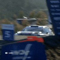 Flying Jumping Car GIF by FIA World Rally Championship