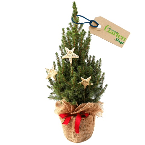 Christmas Tree Sticker by Mein schöner Garten