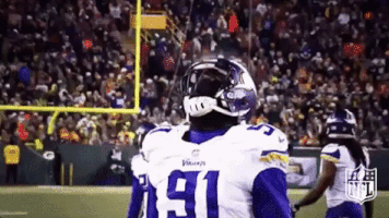 Minnesota Vikings Football GIF by NFL