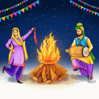 Bonfire Bhangra GIF by Concept Holidayz