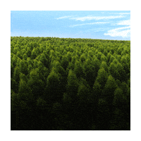 Forest Summit Sticker by Basf Brasil