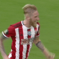 Premier League Win GIF by Sheffield United Football Club