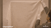 Countdowntochristmas Joyeuxnoel GIF by Hallmark Channel