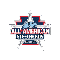 Allamericansteelheads Sticker by All American Baseball
