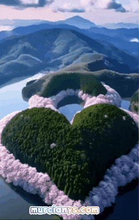 Flores Domingo GIF by Murcianys LLC