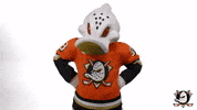No Way Wag GIF by Anaheim Ducks