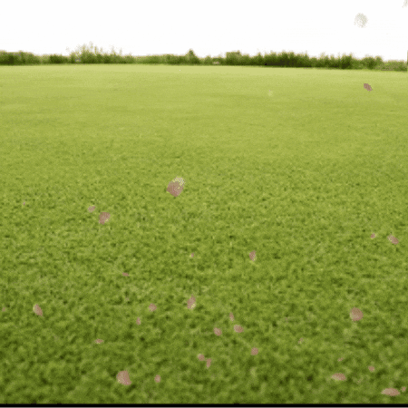 Snail GIF by TeaCosyFolk