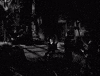 tod browning horror GIF by Warner Archive