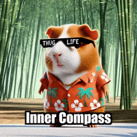 Wisdom Path GIF by Guinea Gambino