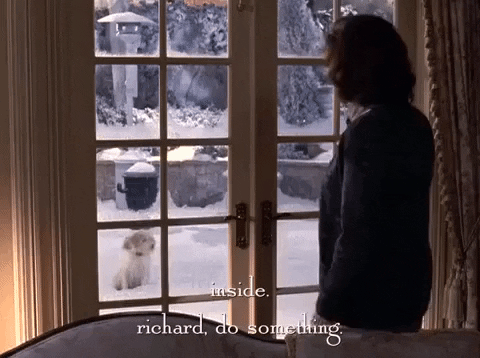 season 5 netflix GIF by Gilmore Girls 