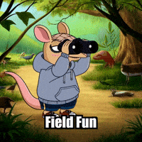 Armadillo Fieldtrip GIF by Chillo Dillo