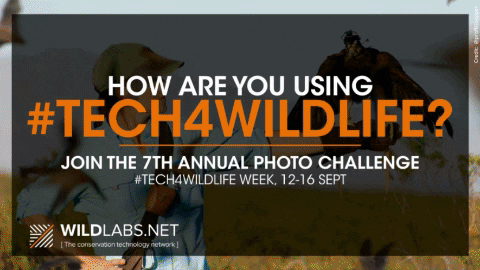 sodo7968 giphygifmaker tech4good tech4wildlife wildlabs GIF