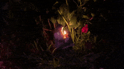 Someone New GIF by Helena Deland