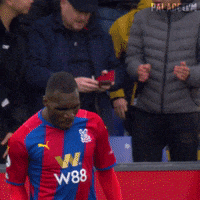 Celebrate Premier League GIF by CPFC