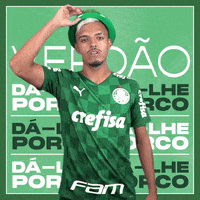 Soccer Futebol GIF by SE Palmeiras