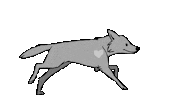 Dog Run Sticker