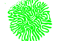 Naruhodonee Sticker by imagemill.k.k