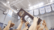NSUSharks nsusharks GIF