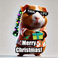 Merry Christmas GIF by Guinea Gambino