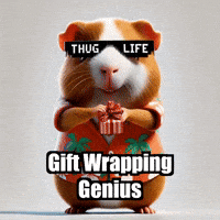 Christmas Presents GIF by Guinea Gambino