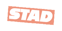 stadhaarlem stad stichting gooi stichtingstad Sticker