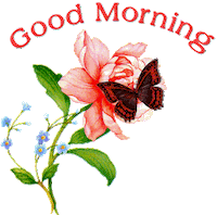 good morning STICKER