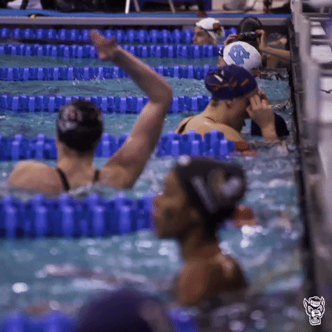Packswimdive GIF by NC State Athletics