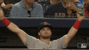 dances dugout GIF by MLB