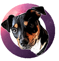 Diariodobby Sticker by Yebra Peluqueros