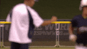 national pro fastpitch fist bump GIF by USSSA Pride