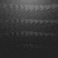 animation 3d GIF by Morena Daniela