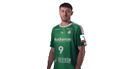 Handball-Bundesliga Handball Sticker by HSG Wetzlar