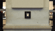 london wild s GIF by Miron